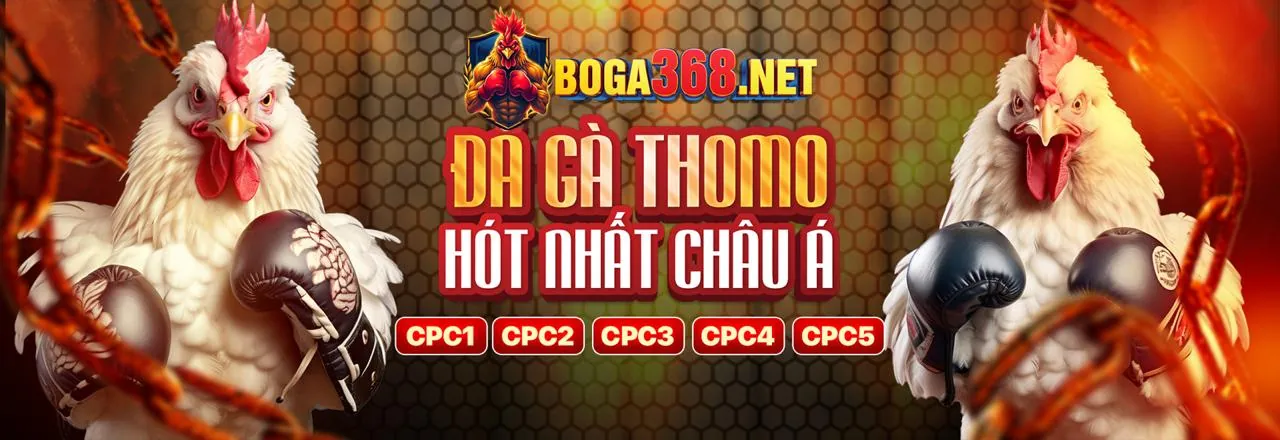 VIP777 - Trải nghiệm cá cược trực tuyến hàng đầu Việt Nam 2026